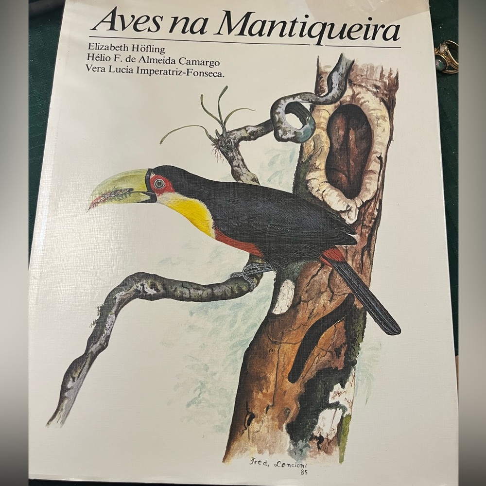 Brazil Book/Bilingual Birds of Mantiqueira Mountains